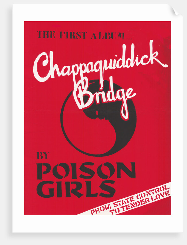 Poison Girls Poster by Rokpool